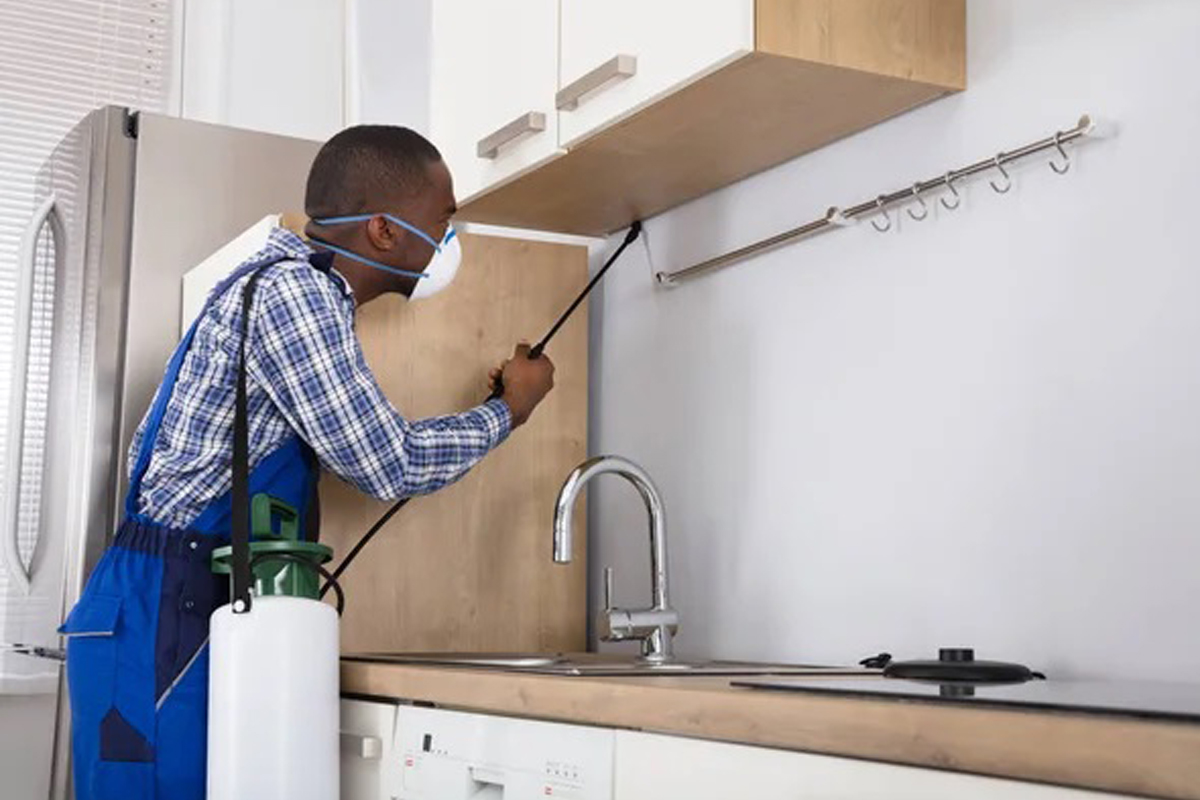 Technician Spraying Pests